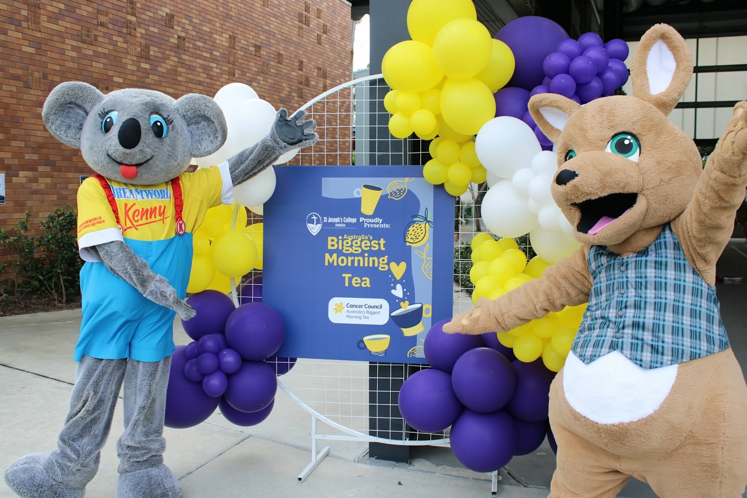 Dreamworlds Kenny the Koala had fun with our mascot Joey.